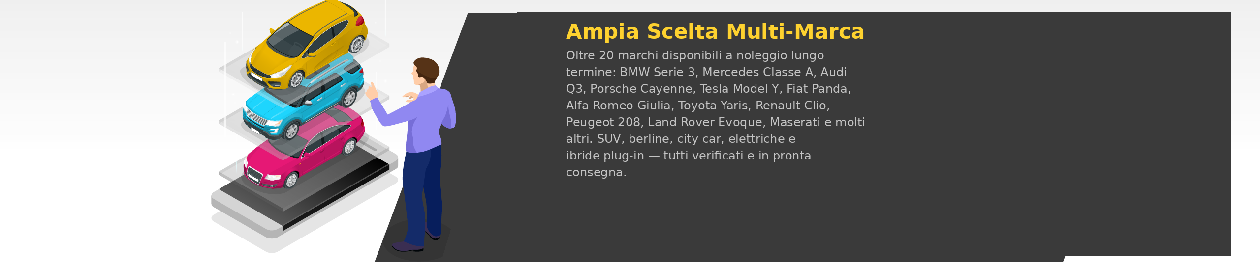 Ampia scelta auto noleggio lungo termine multi-marca BMW Mercedes Audi Fiat Tesla